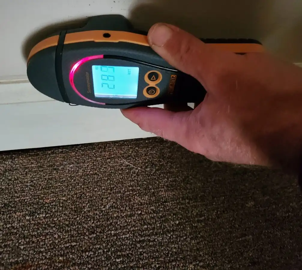 Moisture detection at baseboard during Mold Inspection & Testing in Montgomery